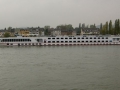 schiff_4_detail