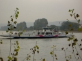 schiff_detail
